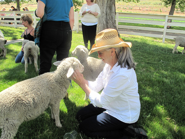 Next we met the adorable summer lambs—we could have watched them play for hours. Following the tour, visited Imperial Yarn operations in the old house and took time to shop.